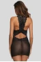 Women's Black V Neck Lace Mesh Chemise