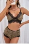 Women's Leopard Lace Patch High Waist 2 Piece Lingerie Set