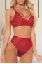 Women's Red Criss Cross Lace Mesh Splicing Lingerie Set