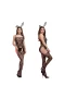 Fishnet Lingerie Lace Bodysuits One Piece Underwear