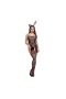 Fishnet Lingerie Lace Bodysuits One Piece Underwear