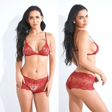 Sexy Lace Bra and Panty Set Bralette Lingerie 9027