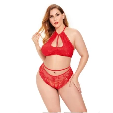 Plus Size 2 Piece Lace Lingerie Set Nightwear