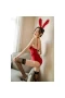 Bunny Costume Sexy for Women Rabbit Costume Red